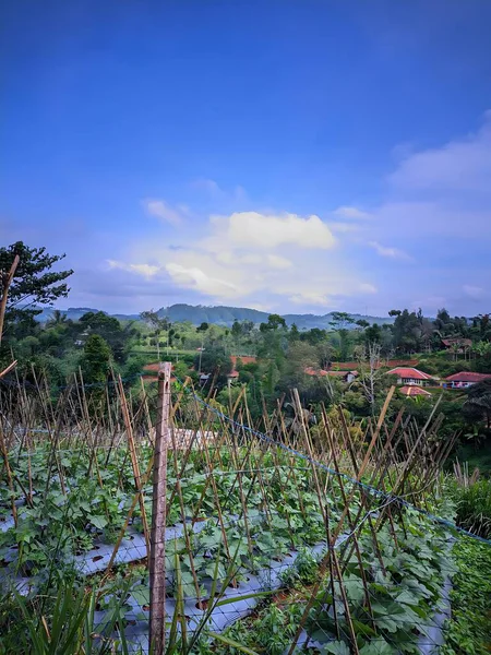 Dağların güzel manzarası