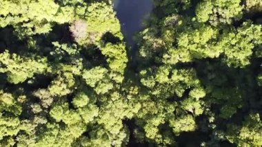 Japonya 'nın en güzel yerlerinden çarpıcı hava manzarası! Portfolyomu kontrol et, dünyanın her yerinden 4k 60 FPS İHA atışları var..