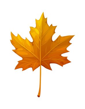Sonbahar sezonunda çizgi film yaprağı. Akçaağaç yaprağı portakalı. Şükran Günü mevsimsel tatili için şekillendirilmiş yaprak
