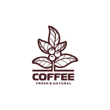 Kahve çekirdeği, yapraklı, dallı ve fasulyeli vektör ikonu. Taze doğal kahveyle vektör ana hatları. Kahverengi etiket veya içecek ambalajı, dükkan tabelası ve eko ürün sunumu için rozet