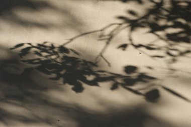 The interplay of light and shadow from foliage creates a mesmerizing abstract design on the textured surface of a wall, rendered in gentle, muted hues for a calming, natural aesthetic.