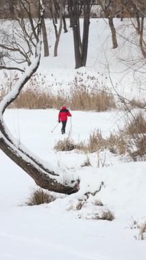 Karla kaplı bir dala tünemiş dikkatli bir karga kış sahnesinde uçuyor. Çırılçıplak ağaçlar ve asgari yeşillik hakim, çelişkili dokular üzerine bir çalışma..
