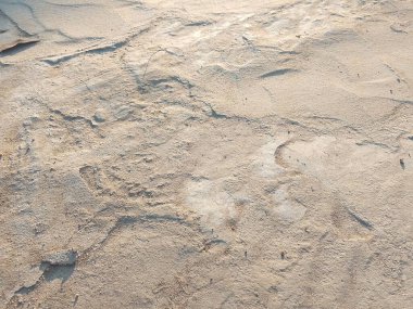 Kuru kumlu yüzeye yakın çekim doğal dokular ve ince dalgalanmalar sergiliyor. Çeşitli tasarım projelerinde altyapı, doğal şablonlar veya çevre temaları için idealdir.