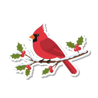 Kırmızı Kardinal Karlı Holly Yapıştırması 'na tünemiş.