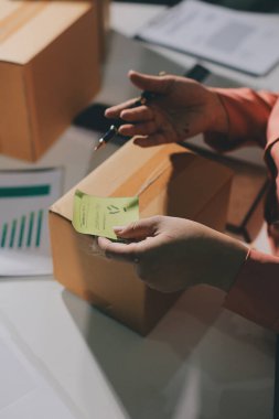 Girişim, küçük işletme, KOBİ sahibi online siparişleri kontrol ediyor. Veri günlüğü iş büyümesi, ürünler satmak, kutularla çalışmak. Ev işlerinde serbest çalışma. Çevrimiçi iş dünyası küçük organizasyon.