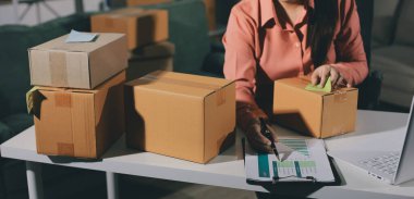 Girişim, küçük işletme, KOBİ sahibi online siparişleri kontrol ediyor. Veri günlüğü iş büyümesi, ürünler satmak, kutularla çalışmak. Ev işlerinde serbest çalışma. Çevrimiçi iş dünyası küçük organizasyon.