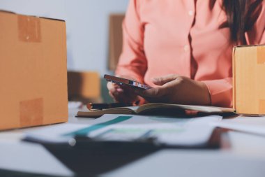 Girişim, küçük işletme, KOBİ sahibi online siparişleri kontrol ediyor. Veri günlüğü iş büyümesi, ürünler satmak, kutularla çalışmak. Ev işlerinde serbest çalışma. Çevrimiçi iş dünyası küçük organizasyon.