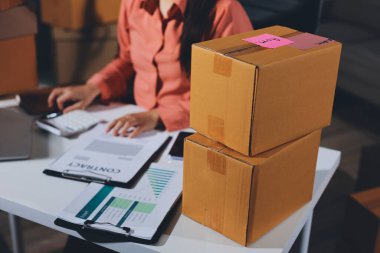 Girişim, küçük işletme, KOBİ sahibi online siparişleri kontrol ediyor. Veri günlüğü iş büyümesi, ürünler satmak, kutularla çalışmak. Ev işlerinde serbest çalışma. Çevrimiçi iş dünyası küçük organizasyon.