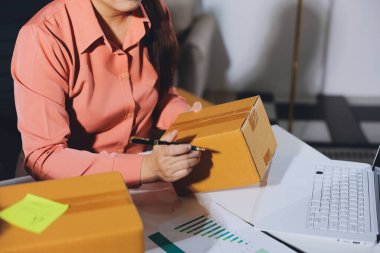 Girişim, küçük işletme, KOBİ sahibi online siparişleri kontrol ediyor. Veri günlüğü iş büyümesi, ürünler satmak, kutularla çalışmak. Ev işlerinde serbest çalışma. Çevrimiçi iş dünyası küçük organizasyon.