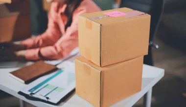 Girişim, küçük işletme, KOBİ sahibi online siparişleri kontrol ediyor. Veri günlüğü iş büyümesi, ürünler satmak, kutularla çalışmak. Ev işlerinde serbest çalışma. Çevrimiçi iş dünyası küçük organizasyon.