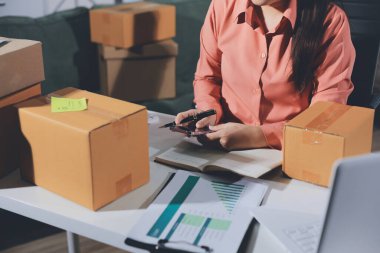 Girişim, küçük işletme, KOBİ sahibi online siparişleri kontrol ediyor. Veri günlüğü iş büyümesi, ürünler satmak, kutularla çalışmak. Ev işlerinde serbest çalışma. Çevrimiçi iş dünyası küçük organizasyon.