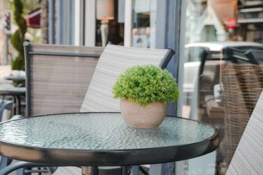 Kalabalık bir şehir bölgesindeki bir kafenin dışında yuvarlak bir cam masa kurulur. Küçük yeşil bir bitki, şehir çevresine biraz doğa katarak masayı süsledi..