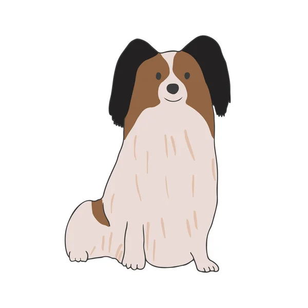 Raça Papillon Cão Bonito Raça Decorativa Pequeno Cachorrinho Adorável Sentado — Vetor de Stock