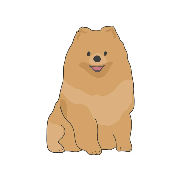 Pomeranian Ras Leuke Populaire Hond Van Decoratief Ras Kleine Schattige — Stockvector