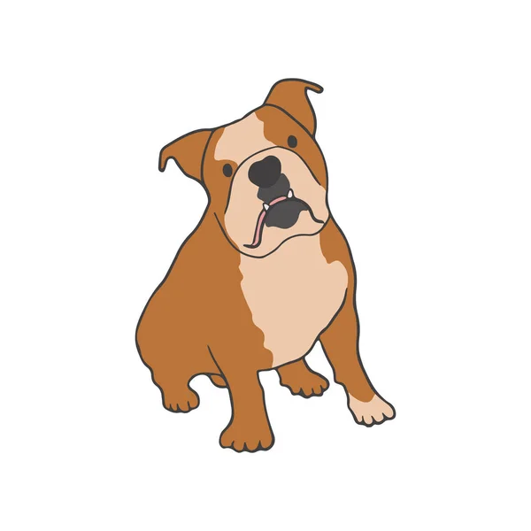 Dog Bulldog Breed Sitting White Background Strong Smart Purebred Pet — Stock Vector