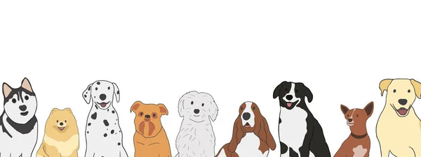 Yatay bir web pankartıyla farklı türde küçük ve büyük melez köpekler. İtaat, hayvan bakımı konsepti. Beyaz arkaplanda izole