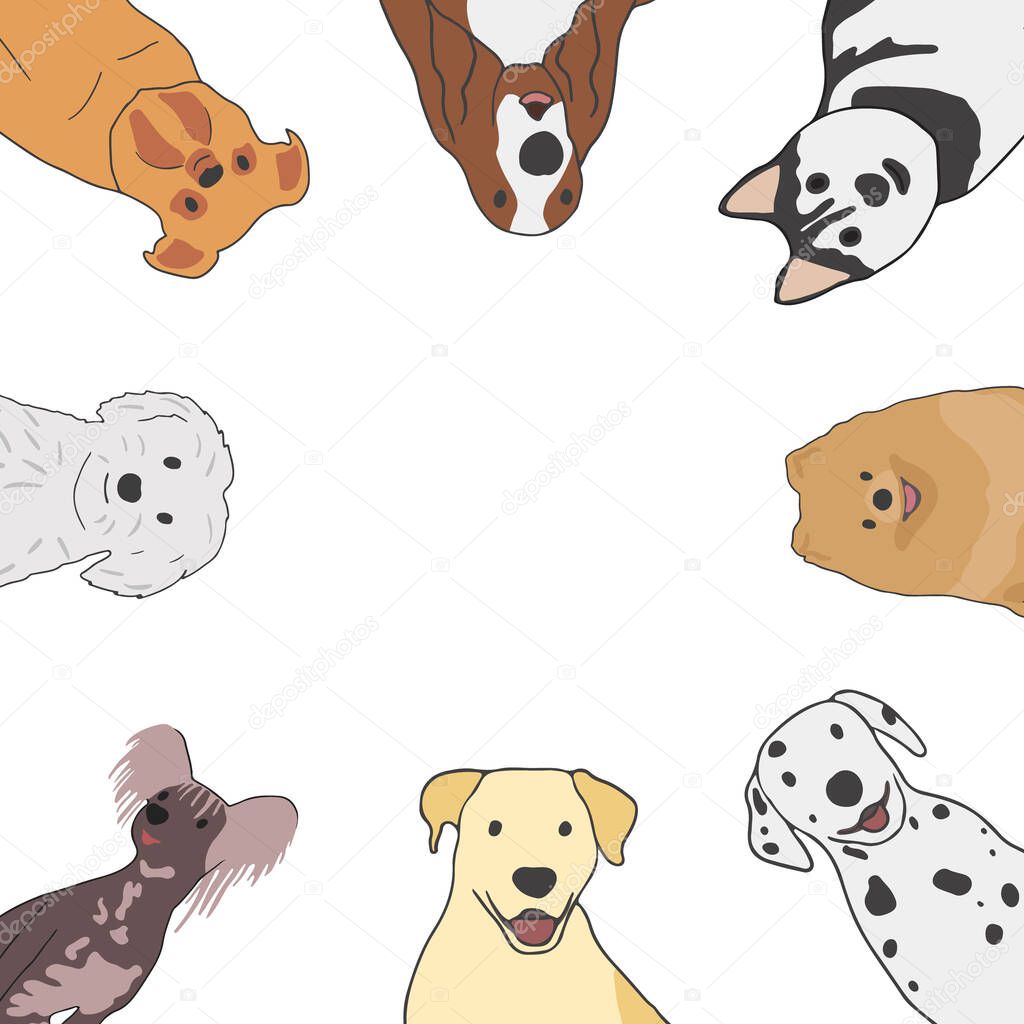 Greeting card with different types of small medium and large mixed breed dogs ang empty space. Obedience, pet care concept. Isolated on white background