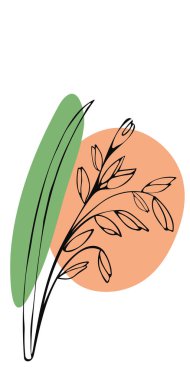 Boş alan ve yulaf ezmesi ile el çizilmiş tebrik kartı. Gıda paketi tasarım şablonu için vektör çizimi, oyma gıda. 