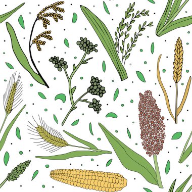 El çizimi pürüzsüz desen. Tahıl bitkileri, çavdar arpası ve buğday başakları. Gıda paketi tasarım şablonu için vektör çizimi, oyma gıda. 