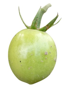 Beyaz arkaplanda yeşil domates