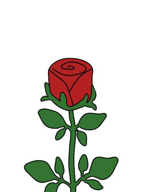 Gül Çiçeği Basit Resimleri Beyaz Arkaplanda İzole Edildi