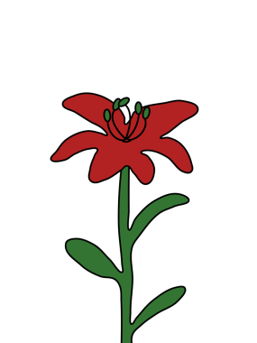 Lily Çiçeği Resimleri Şeffaf Arkaplanda İzole Edildi