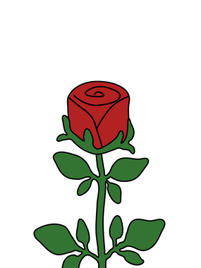 Gül Çiçeği Resimleri Şeffaf Arkaplanda İzole Edildi