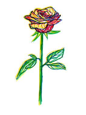 Gül Çiçek El Çizimi Görüntü Şeffaf Arkaplan