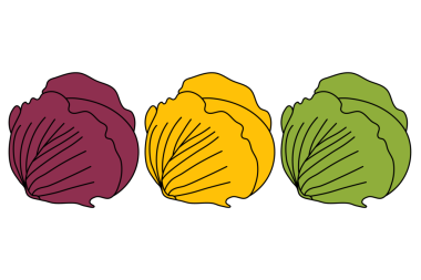 Kabak Çizimi Şeffaf Arkaplan Üzerine Üç Renk Varyasyonunda Ayarlandı