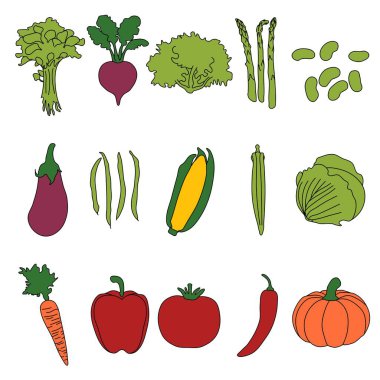 Sebze Çizimleri Beyaz Arkaplanda