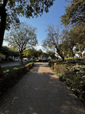 Asfalt bir patika, parlak mavi gökyüzünün altında ağaçlar ve çitlerle dolu bir parkın içinden geçiyor..