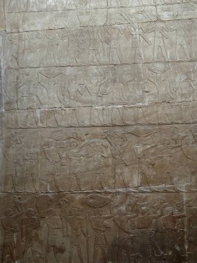 Duvara eski Mısır levrek kabartması oymaları, figürlerin geçişlerini tasvir ediyor. Oymalar yıpranmış ve yıpranmış.