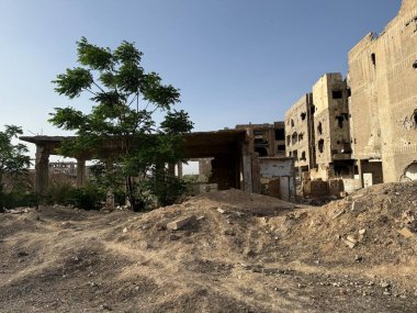 Harap olmuş binalar, muhtemelen çatışmadan, mavi gökyüzünün altında. Önde bir ağaç duruyor molozların arasında.