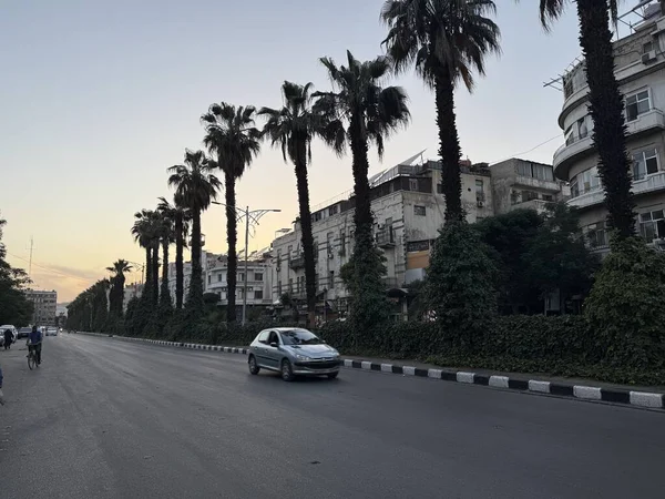 Palmiye ağaçları, binalar, araba ve alacakaranlıkta yaya trafiği..