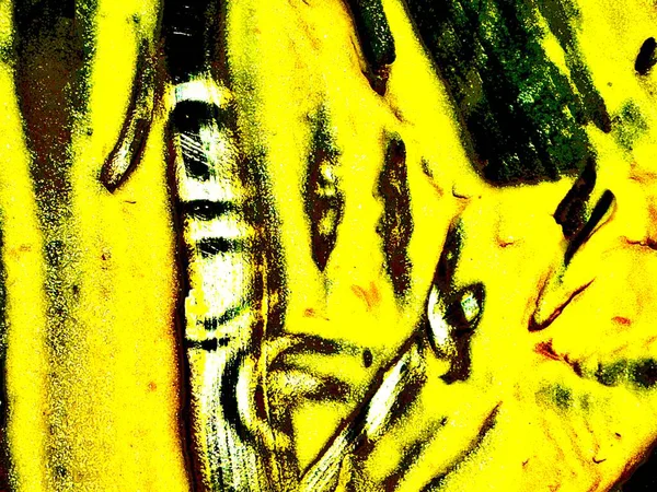 İçinde sarı, siyah ve beyaz lekeler olan soyut sanat eserleri. Parlak ve yoğun renkler kaotik ve dokulu bir şekilde sergilenir..