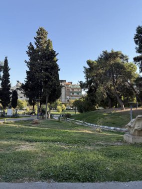 Şam, Suriye - 10: 20 2025: Ağaçlı ve yeşil çimenli bir park arka planda açık mavi bir gökyüzünün altındaki bir binaya doğru gidiyor.