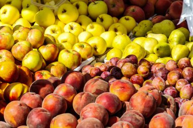 Taze elmalar, armutlar, erikler ve şeftalilerle dolu cömert ve renkli bir vitrin..