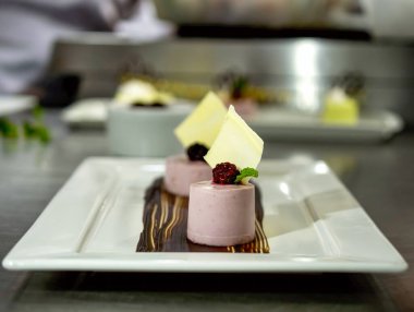 Zarif pembe bavyera tatlıları, beyaz çikolata, böğürtlen ve nane ile süslenmiş, çikolata sosuyla ustalıkla düzenlenmiş, somut gurme mutfak hassasiyeti..