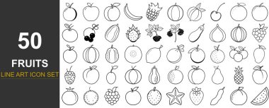 A detailed infographic showcasing fifty unique hand-drawn fruits with clear outlines and artistic shading, perfect for educational or design purposes.