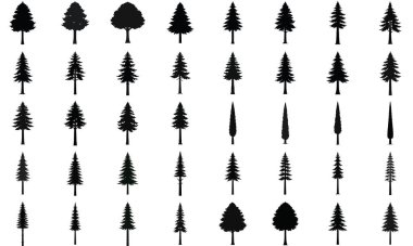 A grid of various evergreen trees in black silhouette against a clean white background, showcasing different shapes and sizes.
