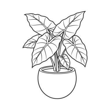 Tropik bir saksı bitkisinin zarif siyah beyaz çizgili sanat çizgisi çizimi. Botanik dekor, iç tasarım, refah veya doğa temalı projeler için ideal.