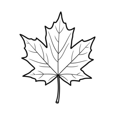 Akçaağaç yaprağının basit ve temiz bir çizgisi. Boyama kitapları, eğitim materyalleri ya da çeşitli grafik tasarım projeleri için ideal. Sonbahar temaları için mükemmel.