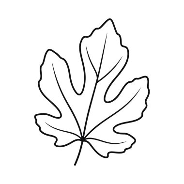 İncir yaprağının detaylı bir siyah çizgisi çizimi belirgin loş şeklini ve damar yapısını gözler önüne seriyor. Botanik, doğa, bahçe temaları ve tasarımlar için ideal.