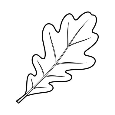 Tek bir meşe yaprağının yer aldığı minimalist bir siyah beyaz çizgi çizimi, belirgin loş şeklini ve belirgin damar yapısını vurguluyor. Doğa, sonbahar veya eğitim tasarımları için ideal.