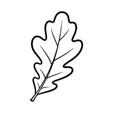Bu minimalist çizgi sanatı tipik bir meşe yaprağını tasvir eder. Net damarları ve karakteristik bir şekli vardır. Eğitim, çevre veya tasarım projeleri için mükemmel.