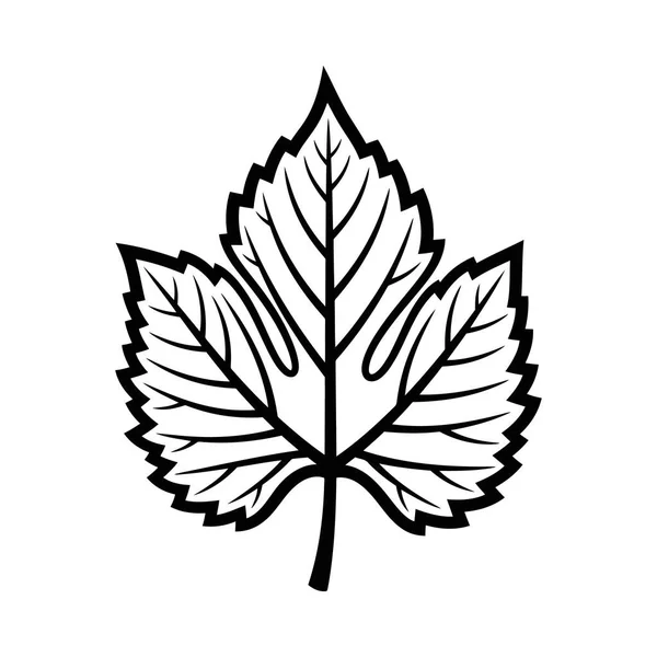 Belirgin damarları ve tırtıklı kenarı olan geniş yapraklı bir üzüm yaprağının minimalist, iki tonluk grafik çizimi. Şarap etiketleri ya da markalar için ideal..