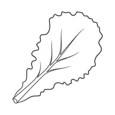 Marul, sağlık, gıda, beslenme ve organik tasarım projeleri gibi tek bir yaprak yeşili sebzeyi tasvir eden şekillendirilmiş siyah beyaz çizgi sanatı. Temiz ve çok yönlü.