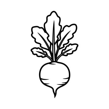 Taze bir pancar kökü sebzesinin ayrıntılı çizgisi çizimi, yuvarlak ampulünü ve canlı yeşil yapraklarını sergiliyor. Mutfak, sağlık ve bahçe temaları için mükemmel..