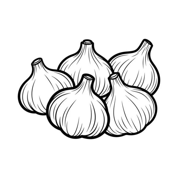 Çoklu taze sarımsak soğanlarının detaylı bir vektör çizgisi çizimi. Mutfak tasarımları, yemek tarifleri kitapları, sağlık ve gıda ile ilgili projeler için mükemmel..