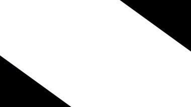 Minimalist video arkaplanları ve modern sunumlar için soyut siyah-beyaz geometrik şekil geçişi